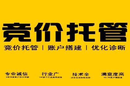 探索百度推广代运营公司的服务模式与优势